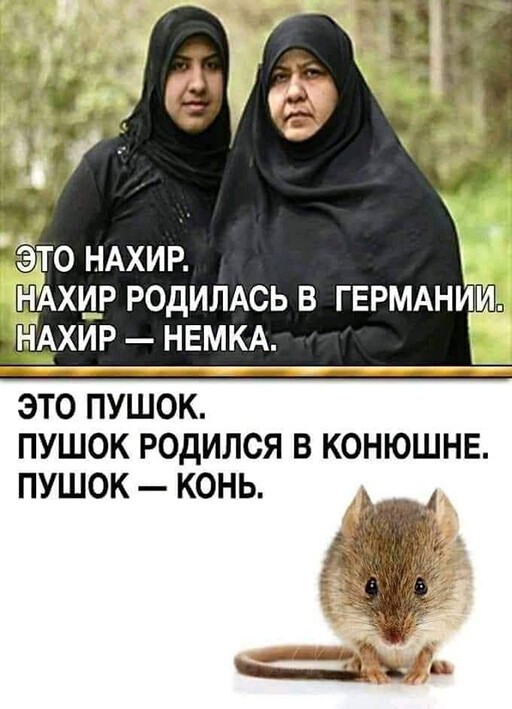 Баянисто-небаянистый юмор 06.09.21