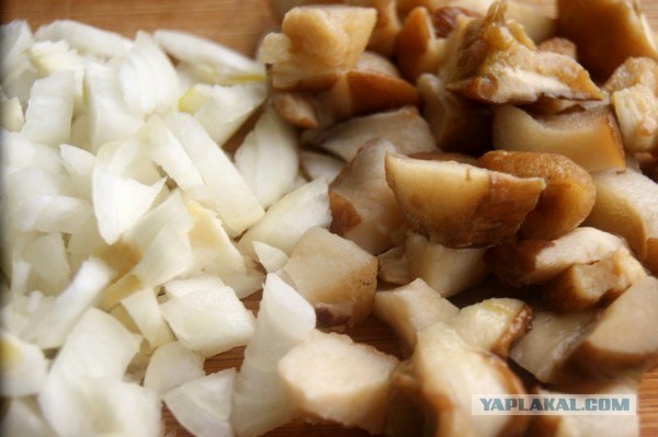 International одной книги., В память о Дженибеке.