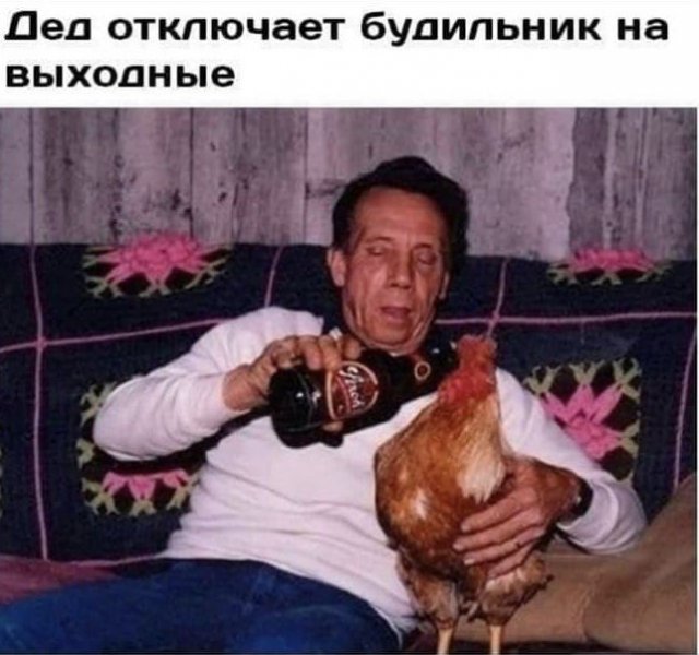 Алкопост 1.11.21