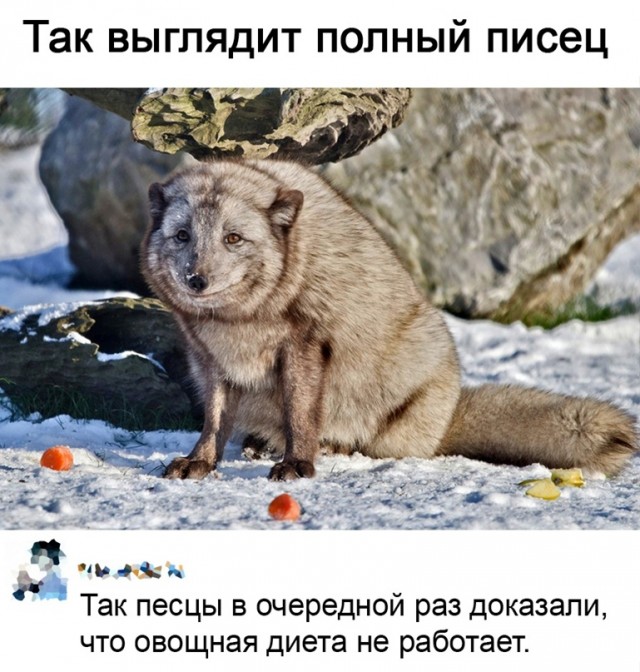 Всяческие картинки 17.01.2022