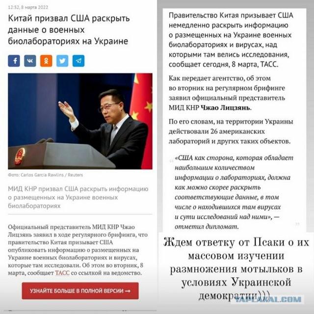 Нуланд признала наличие объектов биоисследований на Украине