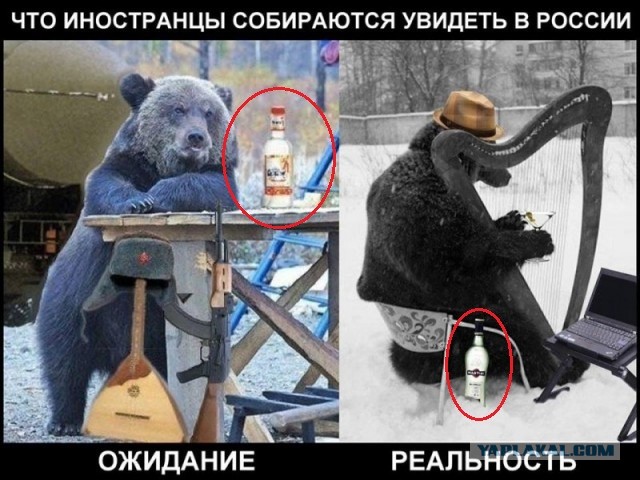 Картинки для улыбнуться #7.0