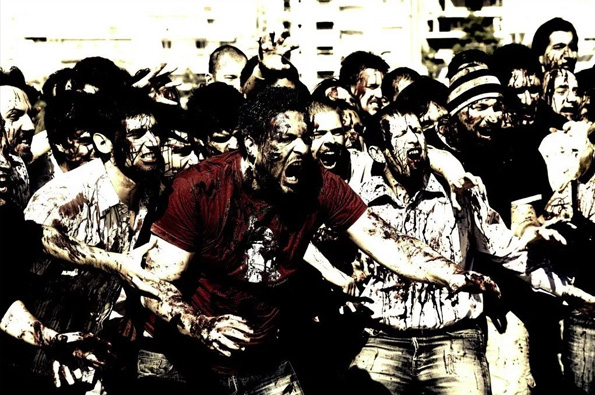 Слоны радуются встрече с мужчиной после 14 месяцев разлуки