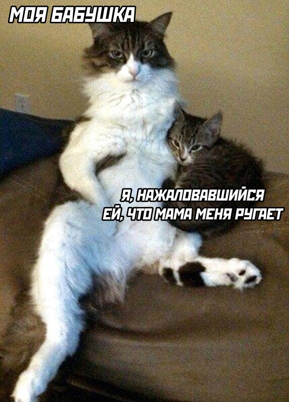 Немного картинок."Колбасный ветер". Август