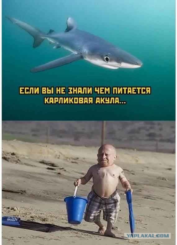 Чёрно-пошлая деградация на пятницу