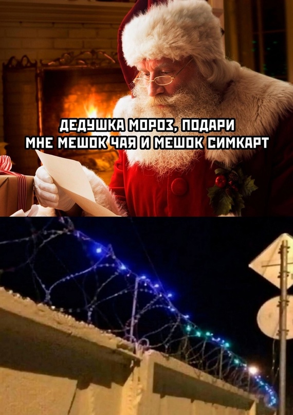 Весёлый полтишок 29.12.22