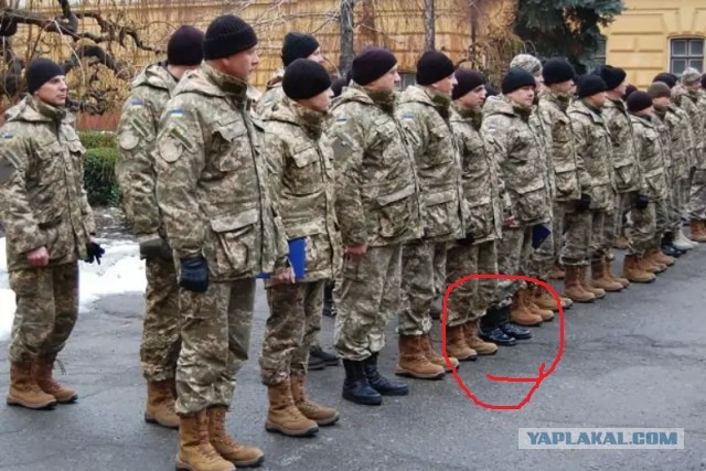 Украина сформирует штурмовые бригады для захвата Крыма и Донбасса