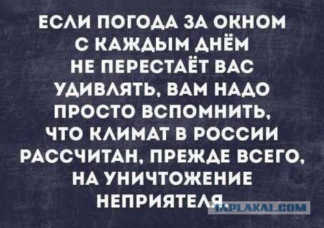 Весёлый полтишок 11.01.23