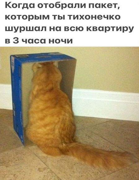 Так себе картинки 16.02.24