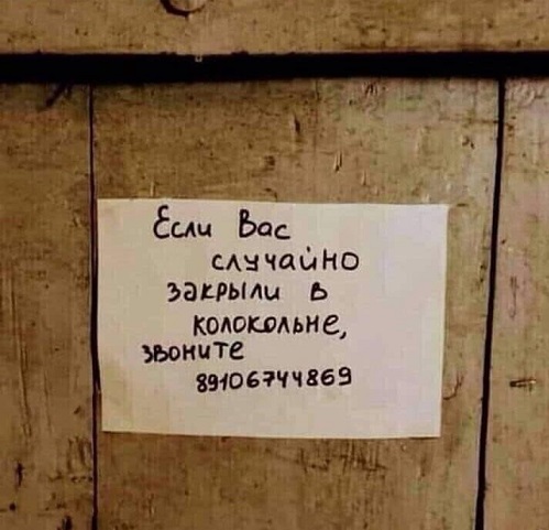 Показывайте кота!