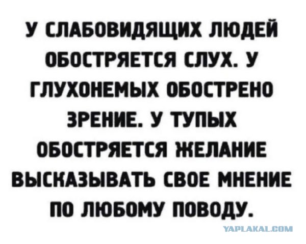 «6 миллиардов долларов денег наших мужчин за эти цветочки утекли в Голландию»