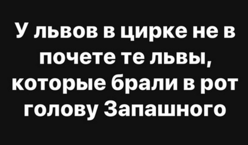 В цирке Владивостока тигр во время выступления залез на большой глобус и решил насрать на него
