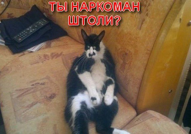 Три камеры видеонаблюдения записали исчезновение