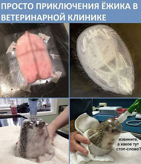 В понедельник нельзя резко входить в работу