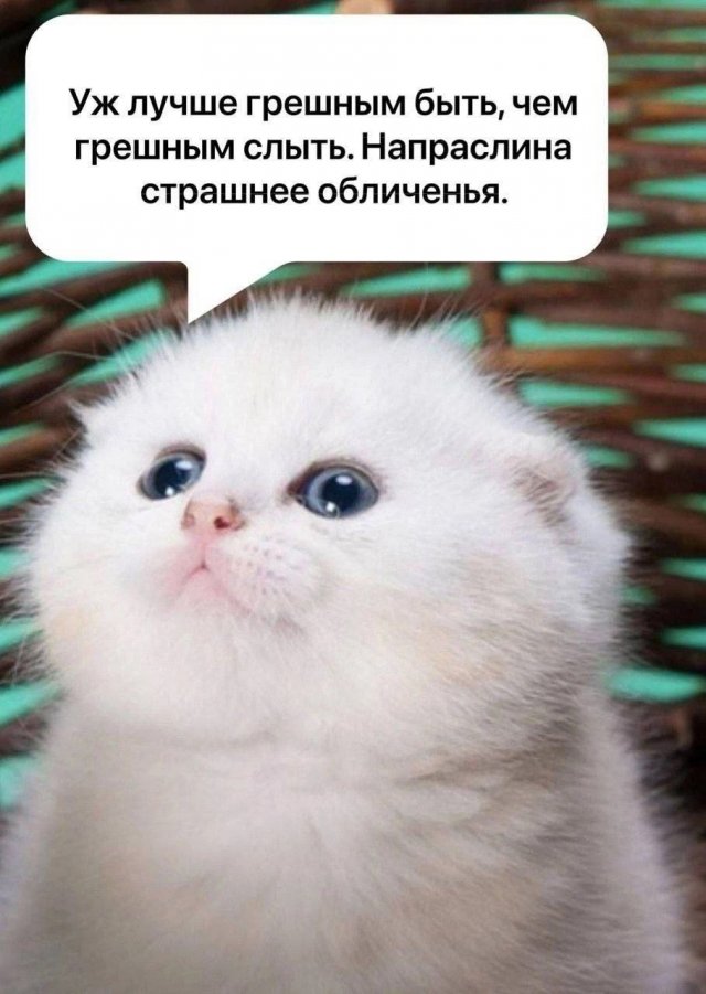 Так себе картинки 27.11.24
