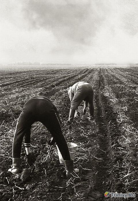 Back in USSR (28.11)