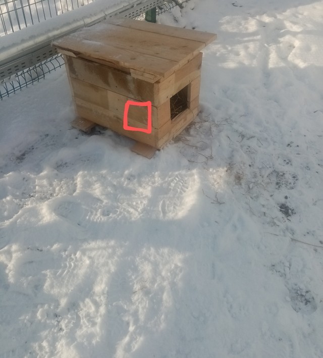 Собак