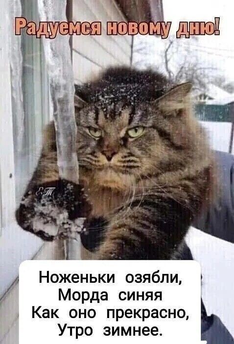 Картинки с текстом для настроения