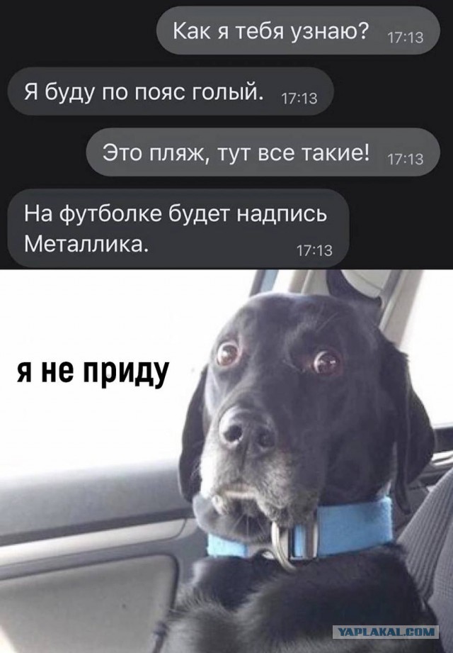 Баяны, очень баяны, но думаю улыбнёт
