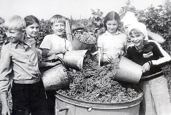 Фотографии из прошлого нашей страны – 93