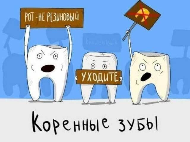Так себе картинки 14.05.25