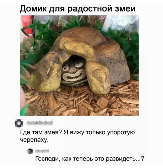 Папа, а кто такой диктатор?