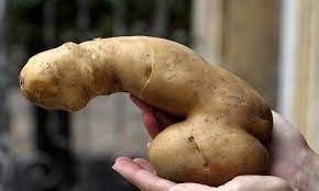 Что такое любовь?