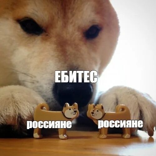«Мужики, взяли жен на руки, унесли в спальню и...»