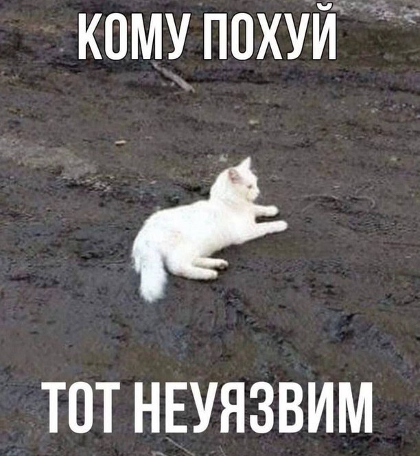 Летели два напильника, летели на боку