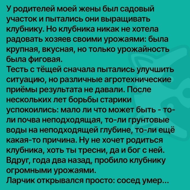 Так себе картинки 19.11.25