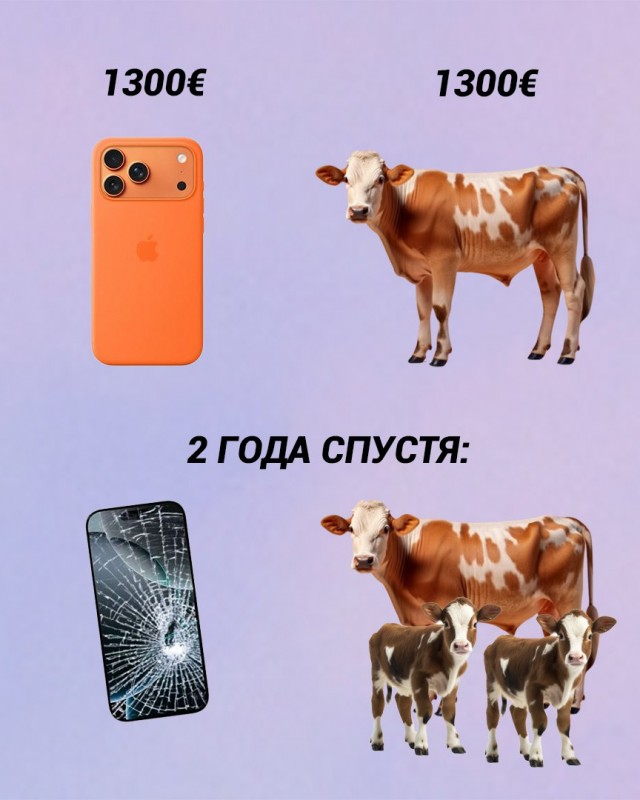 Весёлый полтишок 11.12.25