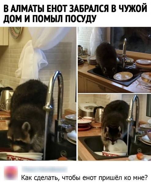 Понедельника картинки