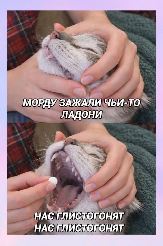 Картиночки, баянчики 19 марта