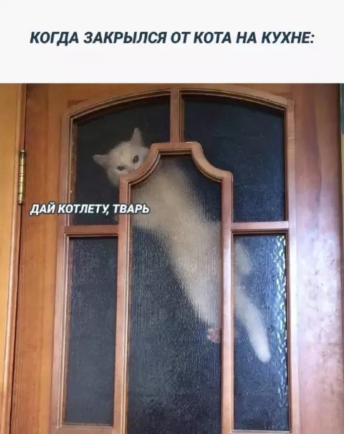 Котямбосы