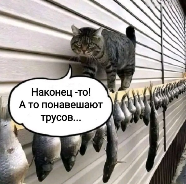 Пятничные картинки