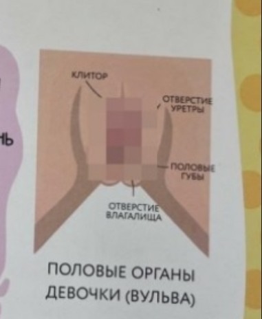 Больше 25 миллионов рублей потратили на половое воспитание детей 3+ в регионах