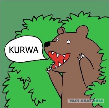 Полячка намерена переспать с 100 тыс мужчин