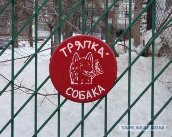 Осторожно! Смешная собака