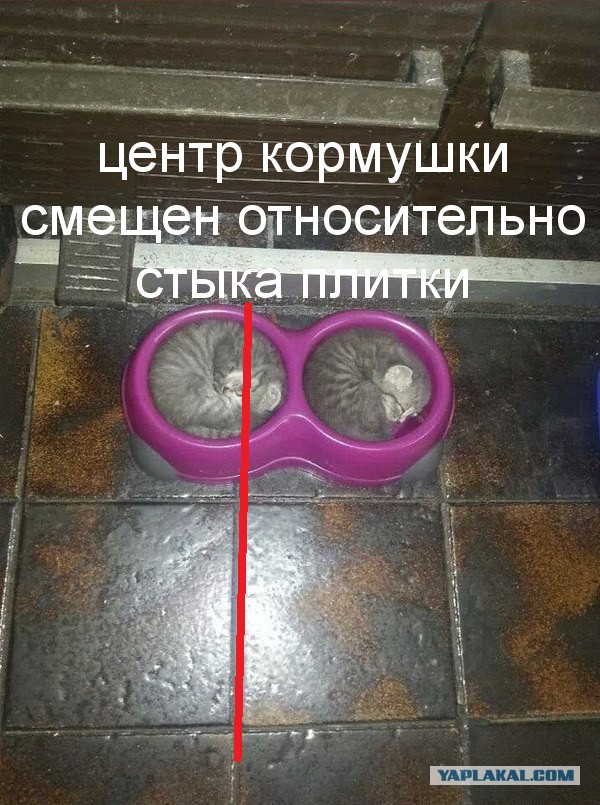 Рай перфекциониста.