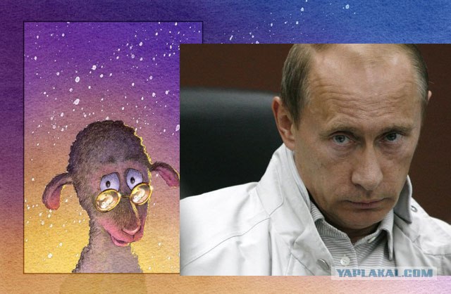 Семь одиноких овечек