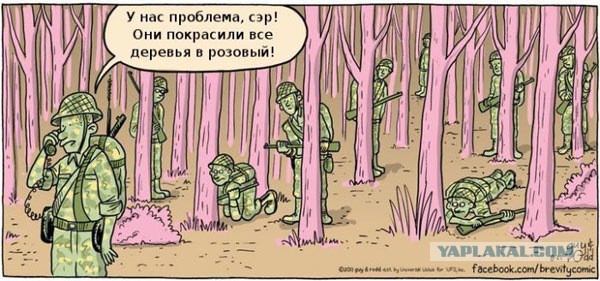 Смешные картинки