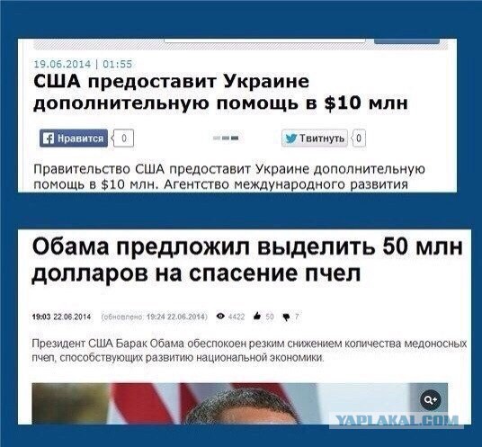 Весёлое из сети