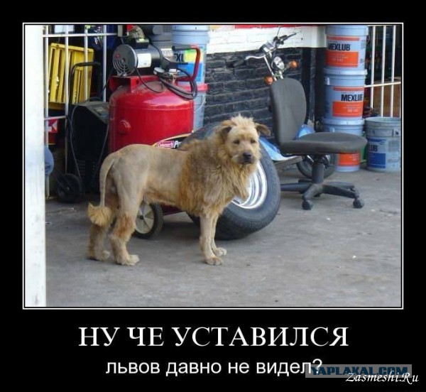 Зверское изнасилование