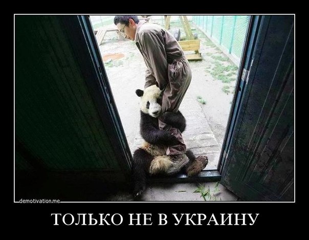 Ржали всей Монголией!