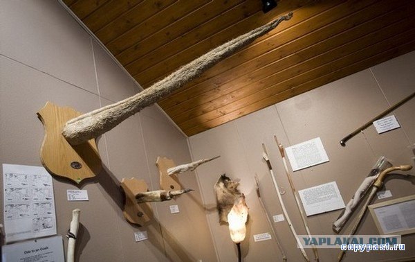 Откуда берутся облака?