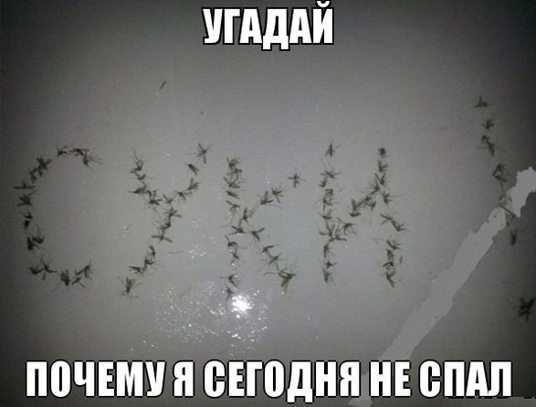 Прикольные картинки из сети