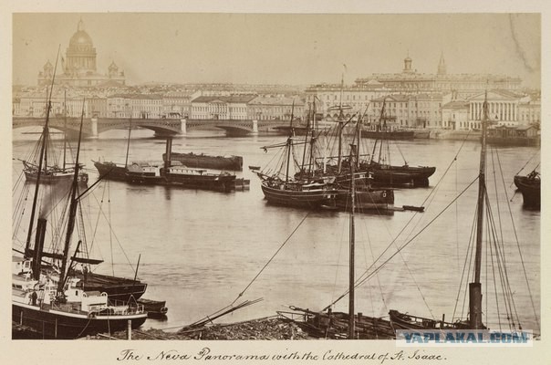 Подборка редких фотографий со всего мира