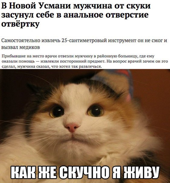 Ужасы и приколы из соцсетей 18+