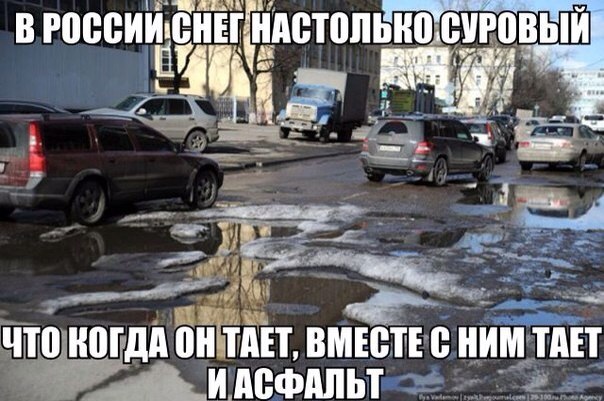 Подборка прикольных фото на пятницу