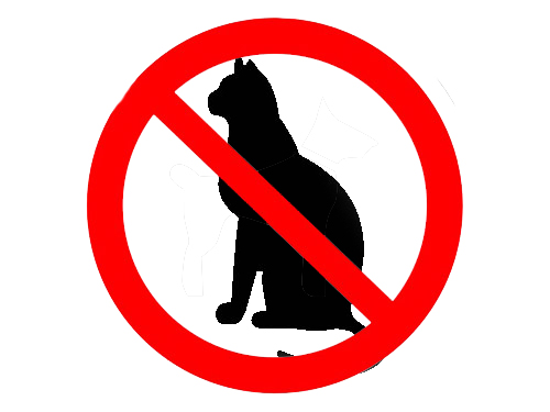 Котов урезать до минимума